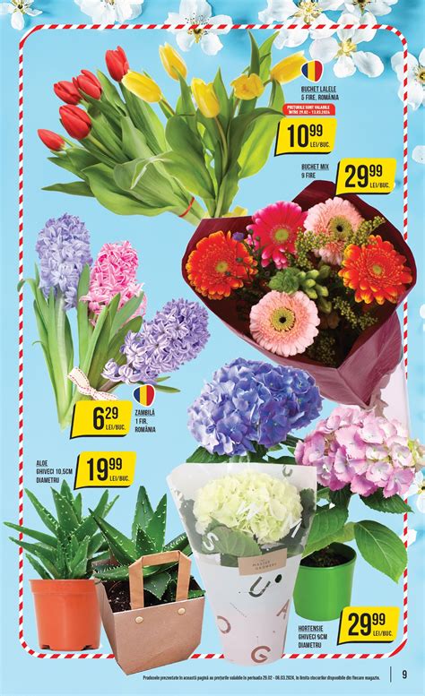 flori kaufland azi|Catalog online cu cele mai noi oferte 